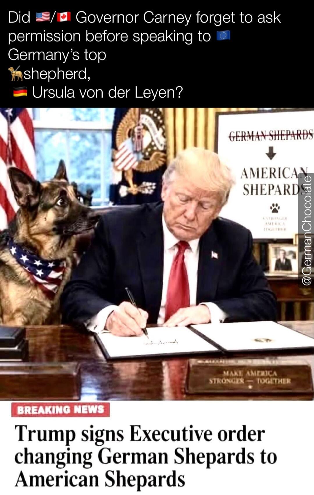 Did 🇺🇸/🇨🇦 Governor Carney forget to ask permission before speaking to 🇪🇺 Germany's top 🐕 shepherd, 🇩🇪 Ursula von der Leyen? GERMAN SHEPHERDS AMERICAN SHEPARD STRONGER AMERICA TOGETHER BREAKING NEWS TRUMP signs Executive order changing German Shepherds to American Shepherds