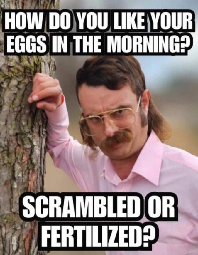 HOW DO YOU LIKE YOUR EGGS IN THE MORNING? SCRAMBLED OR FERTILIZED?