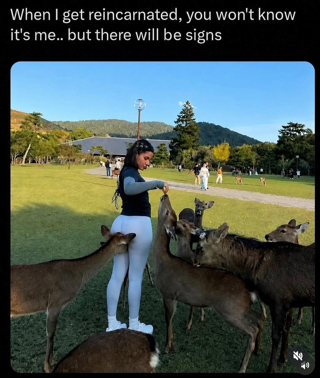 When I get reincarnated, you won't know it's me.. but there will be signs