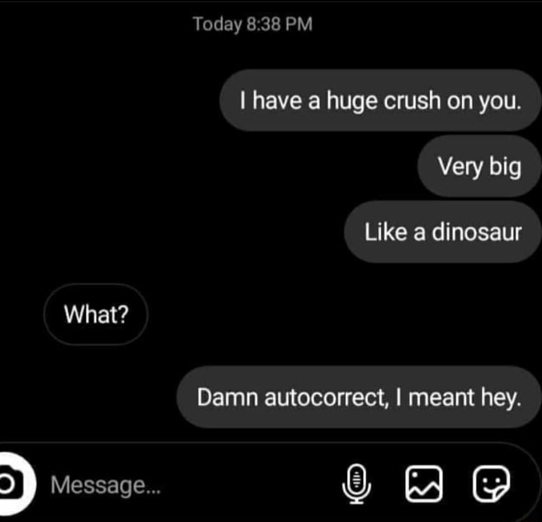 Today 838 PM have a huge crush on you Very big RICEL LT What Damn autocorrect meant hey Message