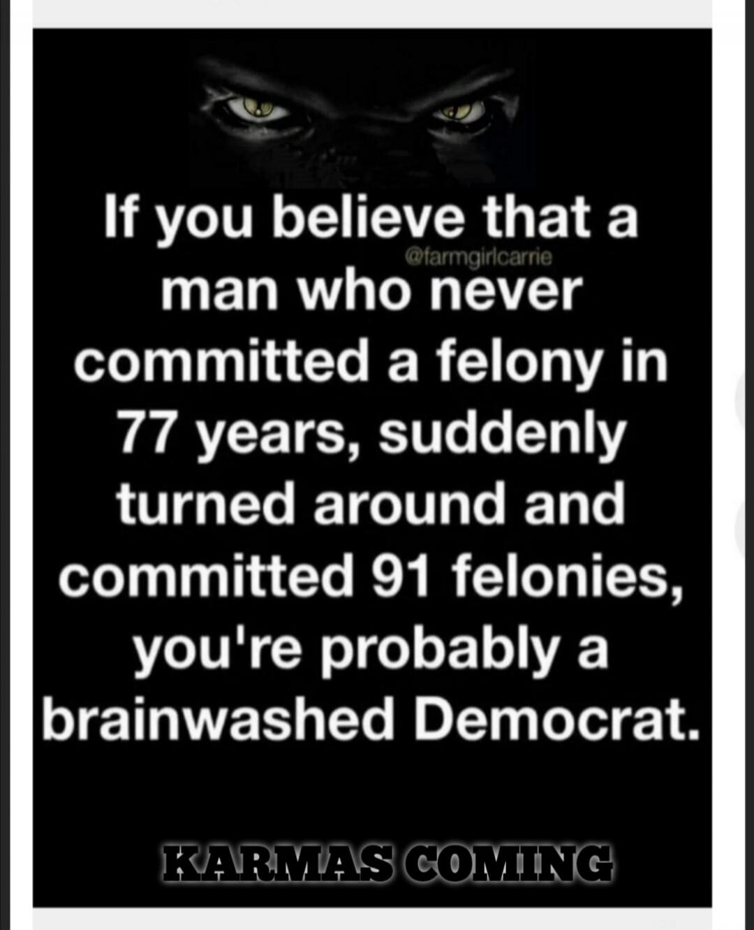 If you believe that a man who never committed a felony in 77 years, suddenly turned around and committed 91 felonies, you're probably a brainwashed Democrat. KARMAS COMING