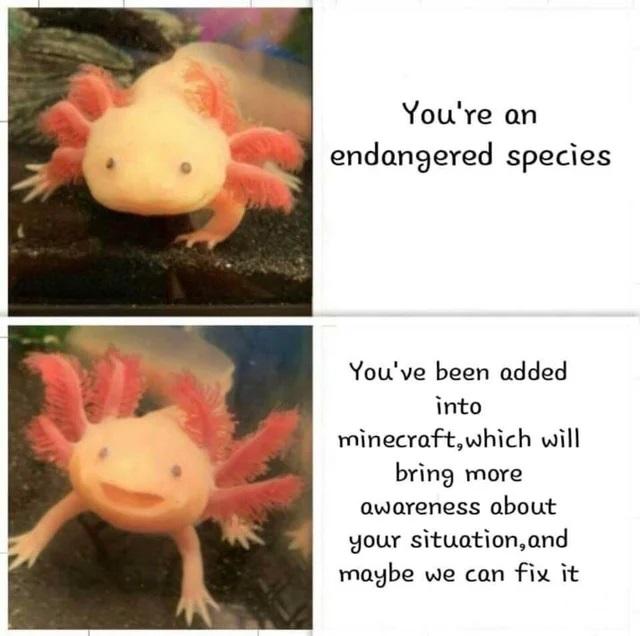 Youre an endangered species Youve been added into minecraftwhich will bring more awareness about your situationand maybe we can fix it