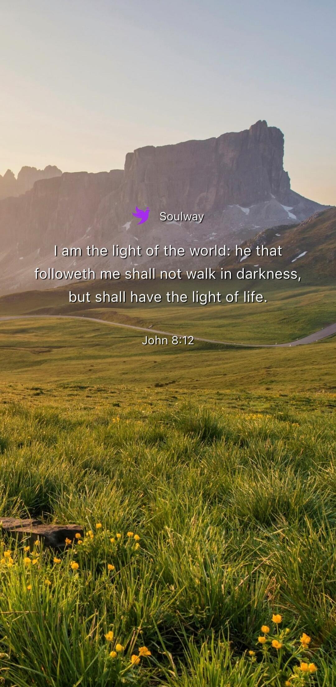 Soulway I am the light of the world: he that followeth me shall not walk in darkness, but shall have the light of life. John 8:12