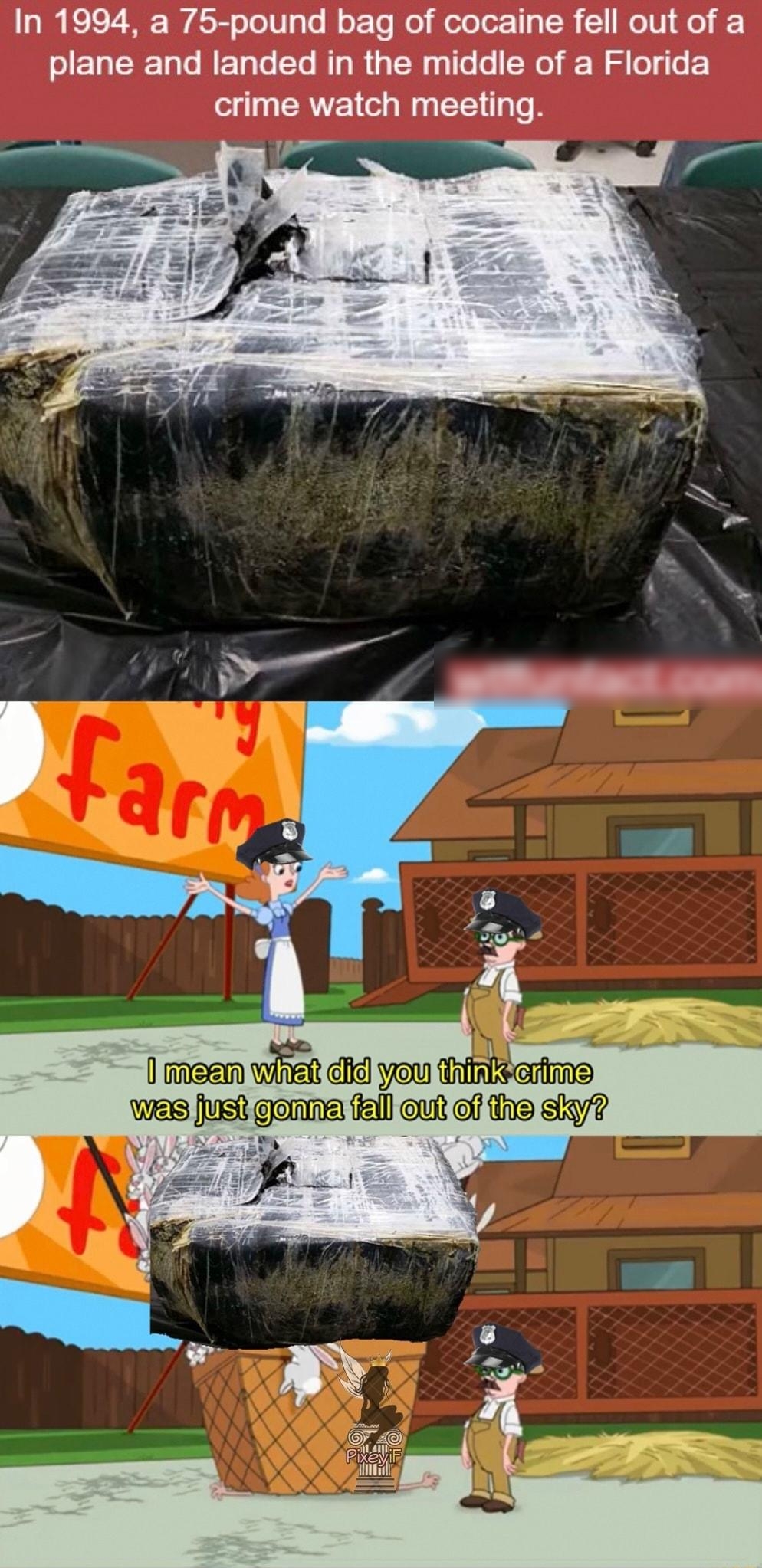 In 1994 a 75 pound bag of cocaine fell out of a plane and landed in the middle of a Florida crime watch meeting