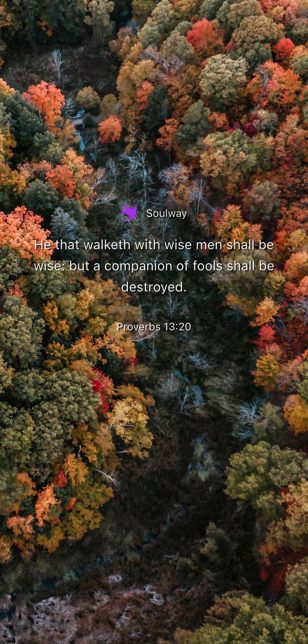 Soulway He that walketh with wise men shall be wise: but a companion of fools shall be destroyed. Proverbs 13:20