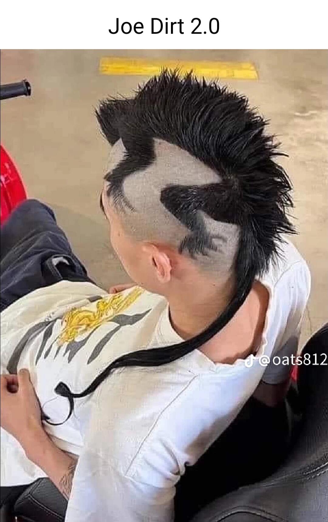 Joe Dirt 2.0
