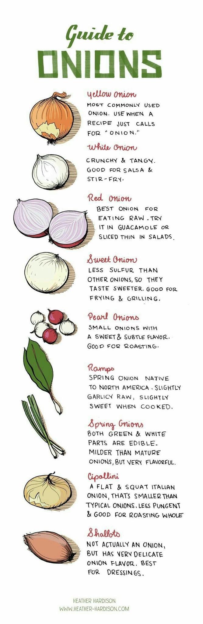 Guide te ONIONS yellow onion MOST COMMONLY USED ONION USE WHEN A RECIPE JusT CALLS FOR ONION Wit Oni CRUNCHY TANGV GOOD FOR SALSA STR FRY Red Omiow BEST ONION FOR EATING RAW TRY ITIN GUACAMOLE oR SLICED THIN IN SALADS Sweet Oniorw LESS SULFUR THAN OTHER ONIONS SO THEY TASTE SWEETER GOOD FOR FRYING GRILUING Peard Onions SMALL ONIONS WITH A SWEET SUBTLE FLAOR GOOD FOR ROASTING Roumpe SPRING ONION NA
