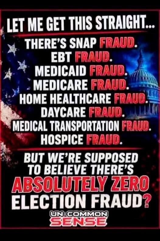 LET ME GET THIS STRAIGHT... THERE'S SNAP FRAUD. EBT FRAUD. MEDICAID FRAUD. MEDICARE FRAUD. HOME HEALTHCARE FRAUD. DAYCARE FRAUD. MEDICAL TRANSPORTATION FRAUD. HOSPICE FRAUD. BUT WE'RE SUPPOSED TO BELIEVE THERE'S ABSOLUTELY ZERO ELECTION FRAUD? UN-COMMON SENSE