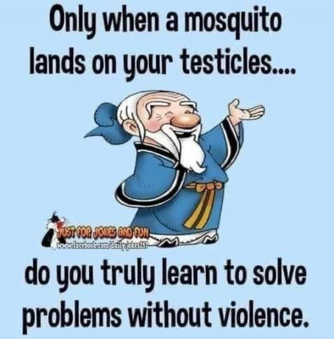 Only when a mosquito lands on your testicles.... do you truly learn to solve problems without violence.