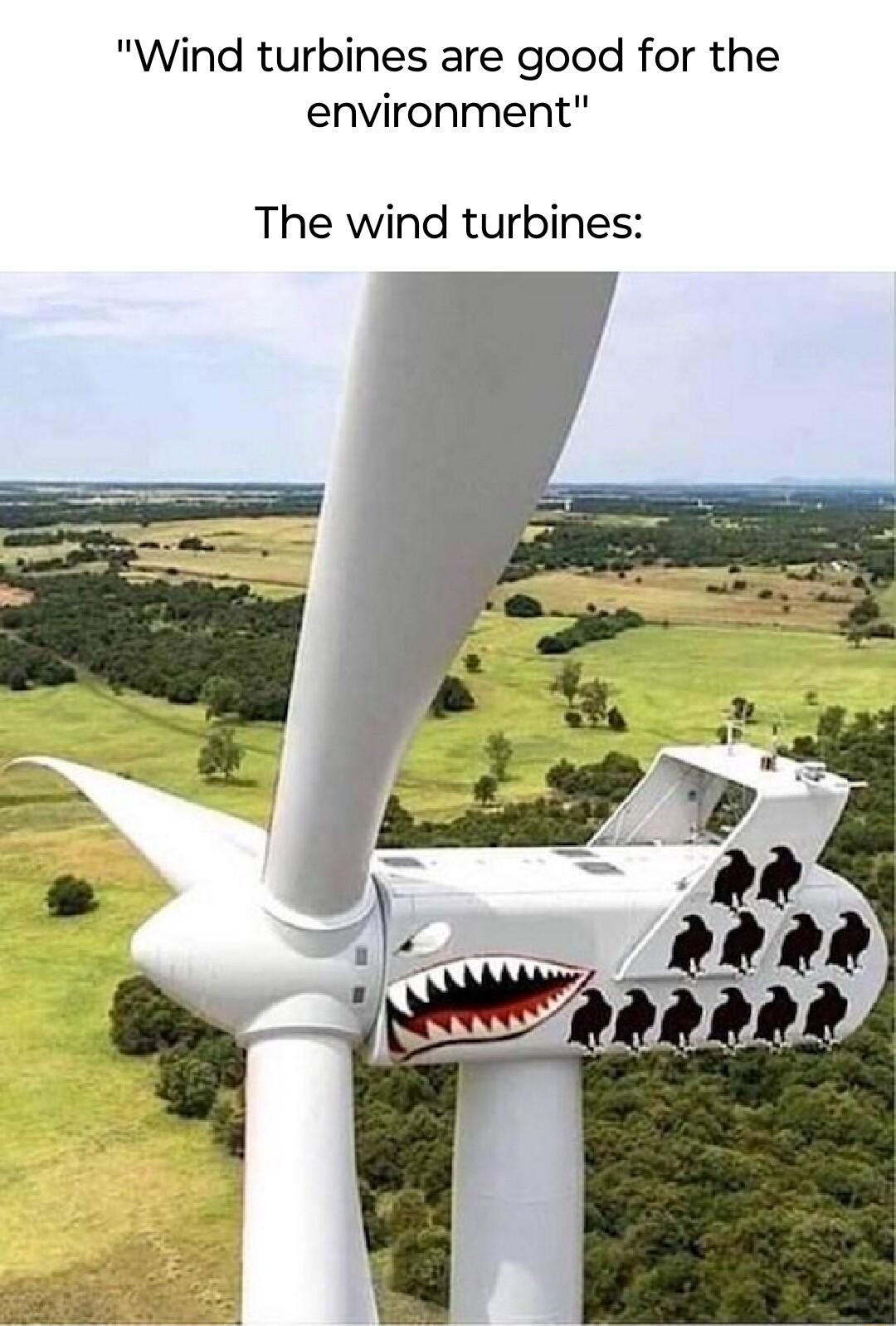Wind turbines are good for the environment The wind turbines