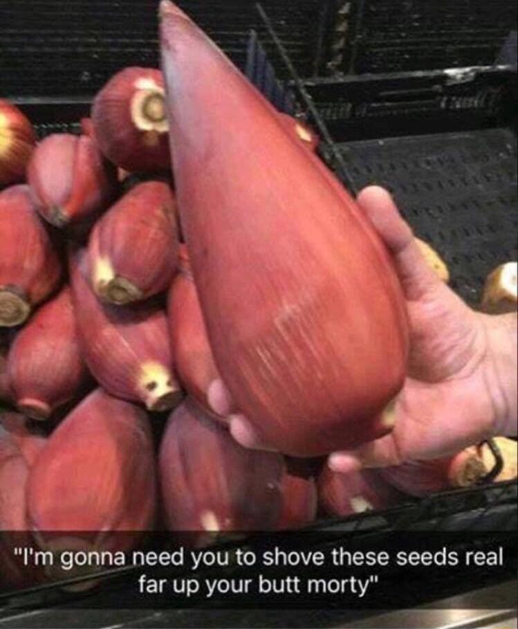 5 Im gonna need you to shove these seeds real far up your butt morty S