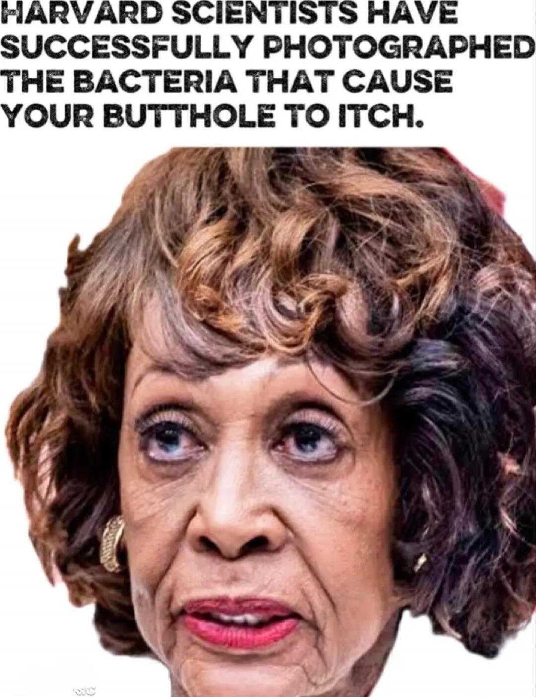 HARVARD SCIENTISTS HAVE SUCCESSFULLY PHOTOGRAPHED THE BACTERIA THAT CAUSE YOUR BUTTHOLE TO ITCH.