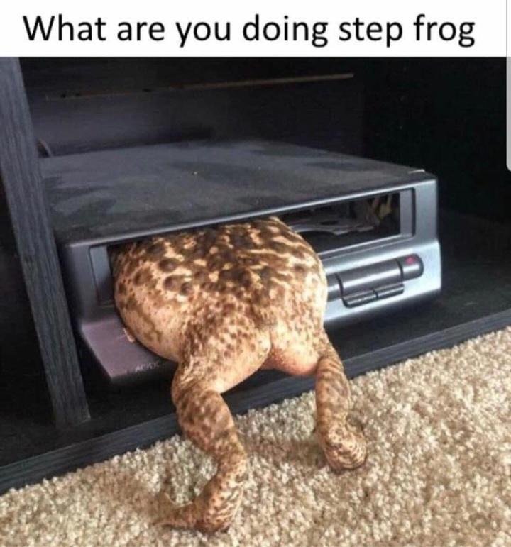 What are you doing step frog