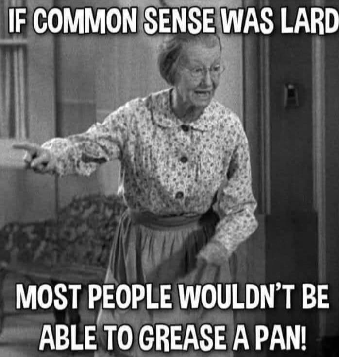 IF COMMON SENSE WAS LARD MOST PEOPLE WOULDN'T BE ABLE TO GREASE A PAN!