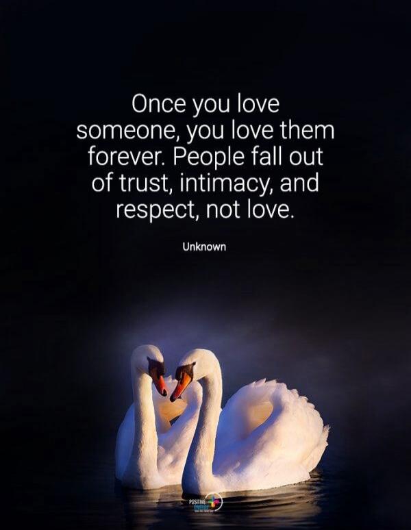 Once you love someone, you love them forever. People fall out of trust, intimacy, and respect, not love. Unknown