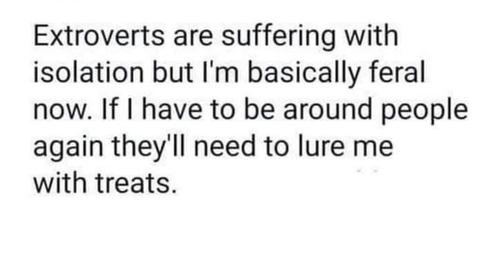 Extroverts are suffering with isolation but Im basically feral now If have to be around people again theyll need to lure me with treats