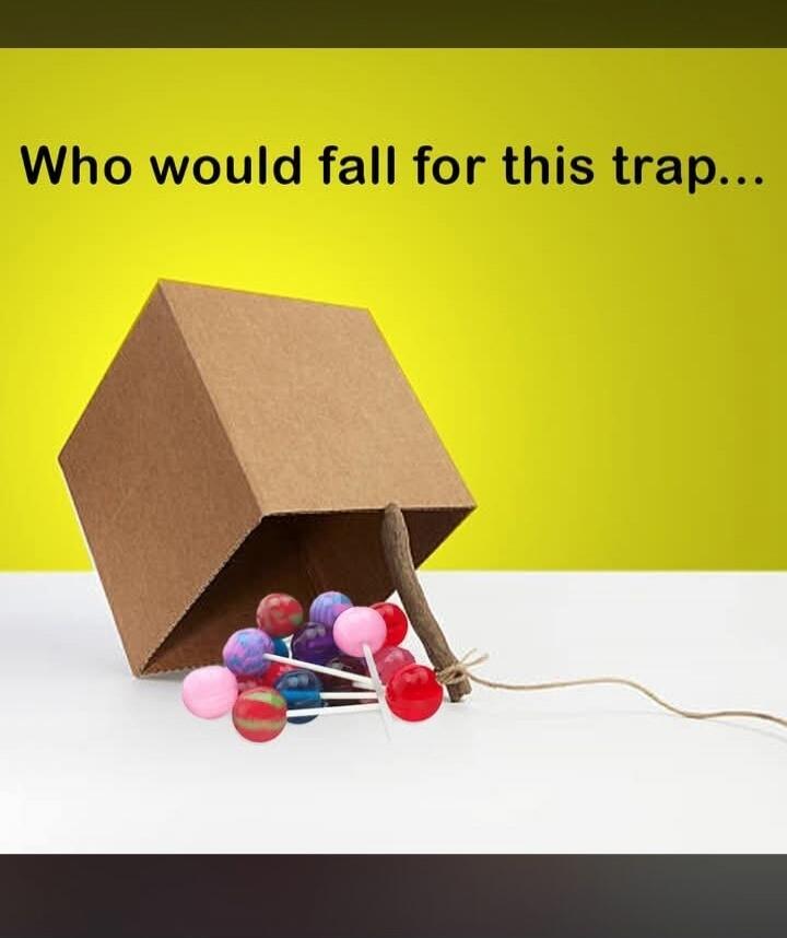 Who would fall for this trap...