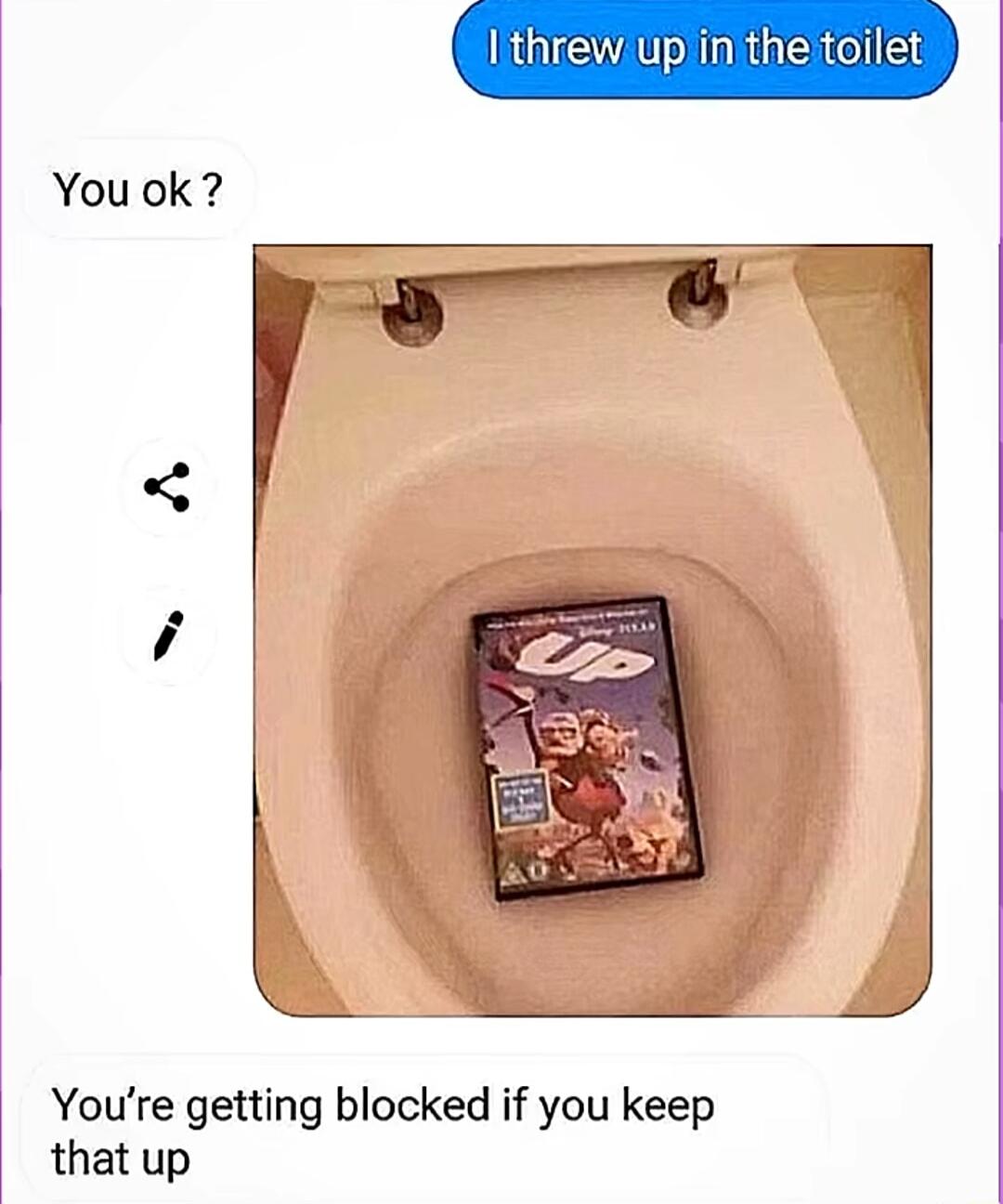 Ithrew up inithe toilet You ok o Youre getting blocked if you keep that up