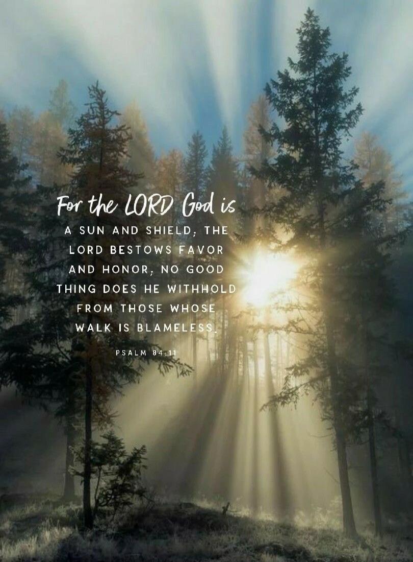 For the LORD God is a sun and shield, the LORD bestows favor and honor; no good thing does he withhold from those whose walk is blameless. Psalm 84:11