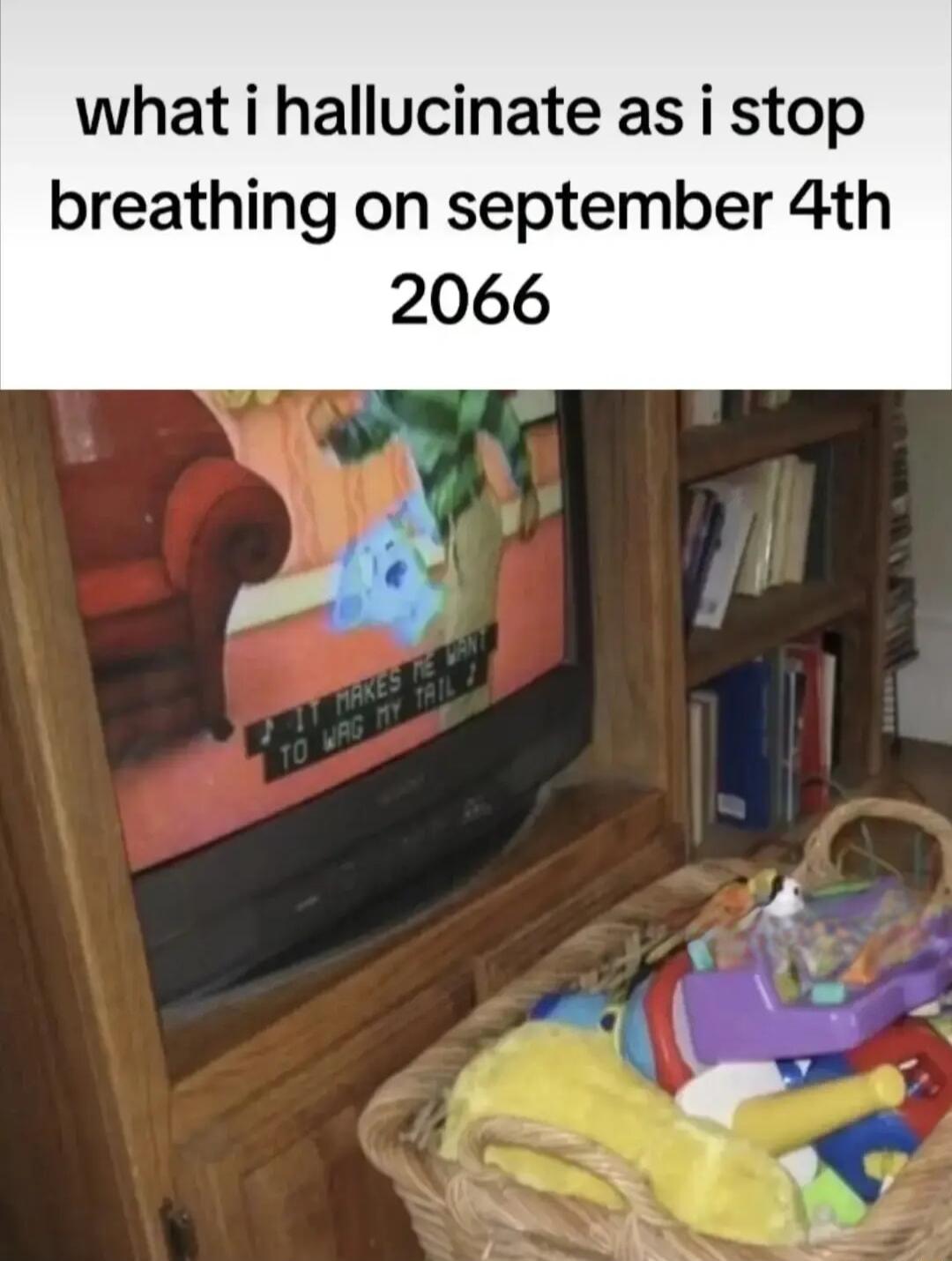 what i hallucinate as i stop breathing on september 4th 2066