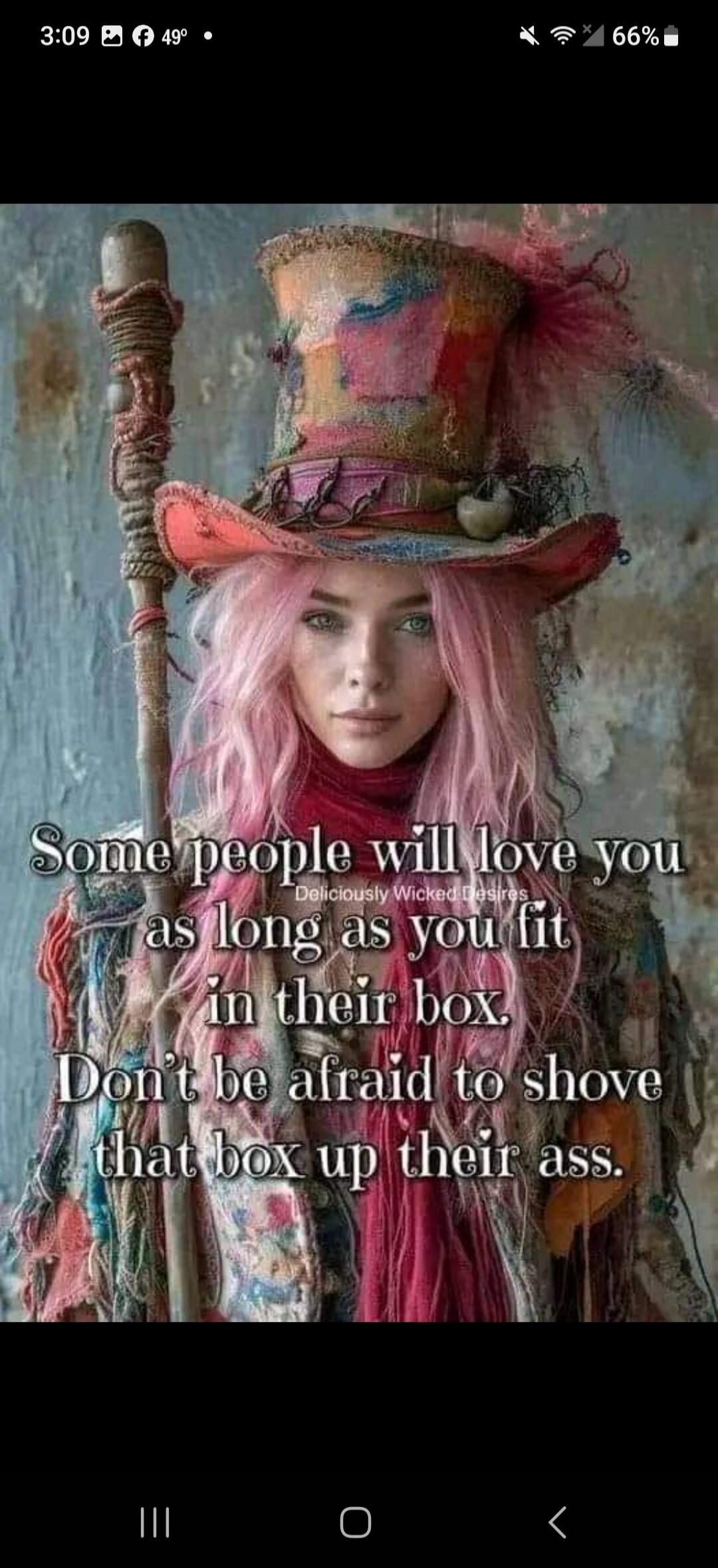 Some people will love you as long as you fit in their box. Don't be afraid to shove that box up their ass. Deliciously Wicked Desires