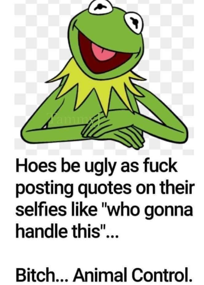 Hoes be ugly as fuck posting quotes on their selfies like who gonna handle this Bitch Animal Control