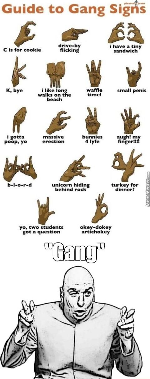 Guide to Gang Signh