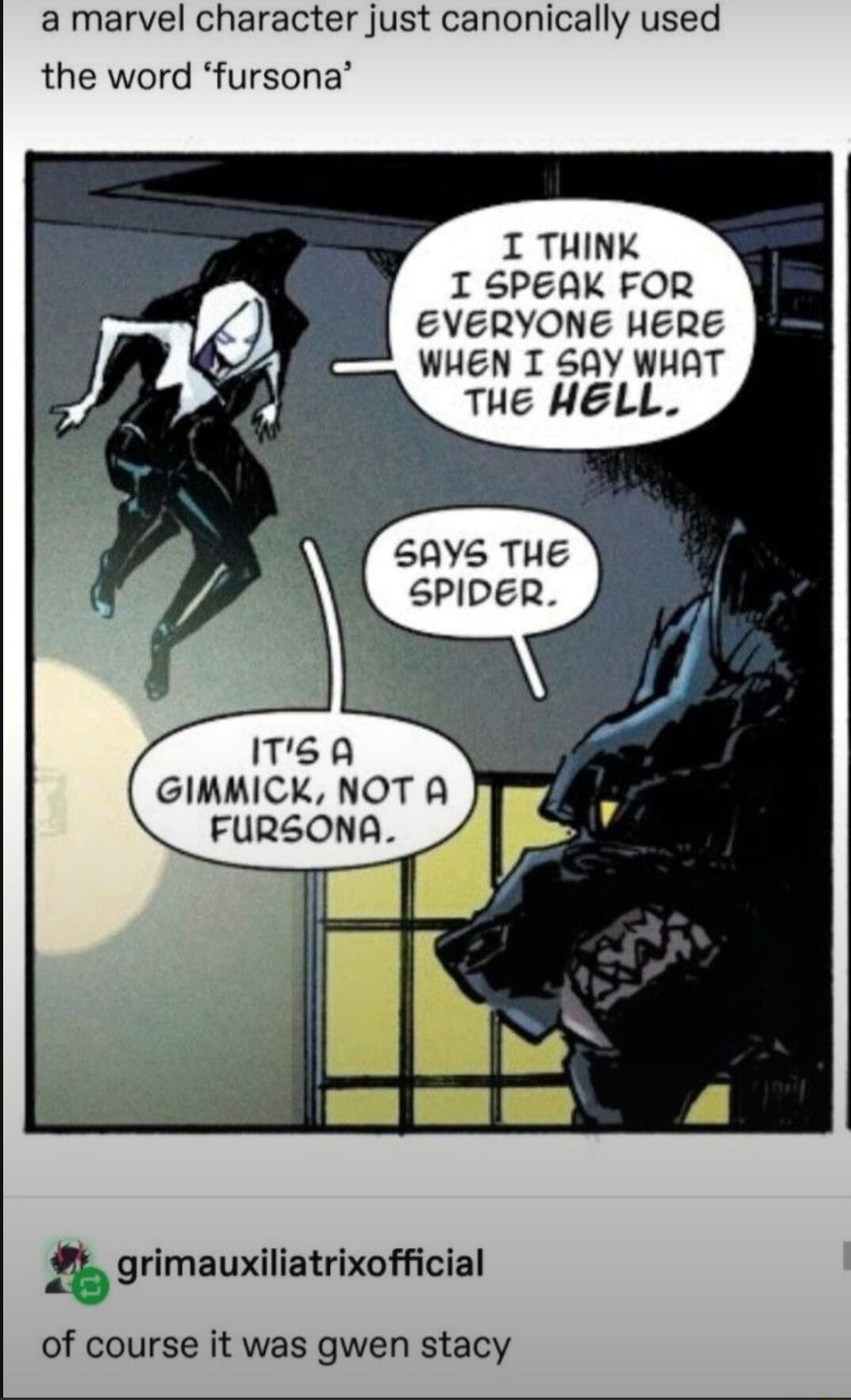 a marvel character just canonically used the word fursona I THINK I 5PEAK FOR EVERYONE HERE WHEN I SAY WHAT THE HELL GIMMICK NOT A FURSONA of course it was gwen stacy