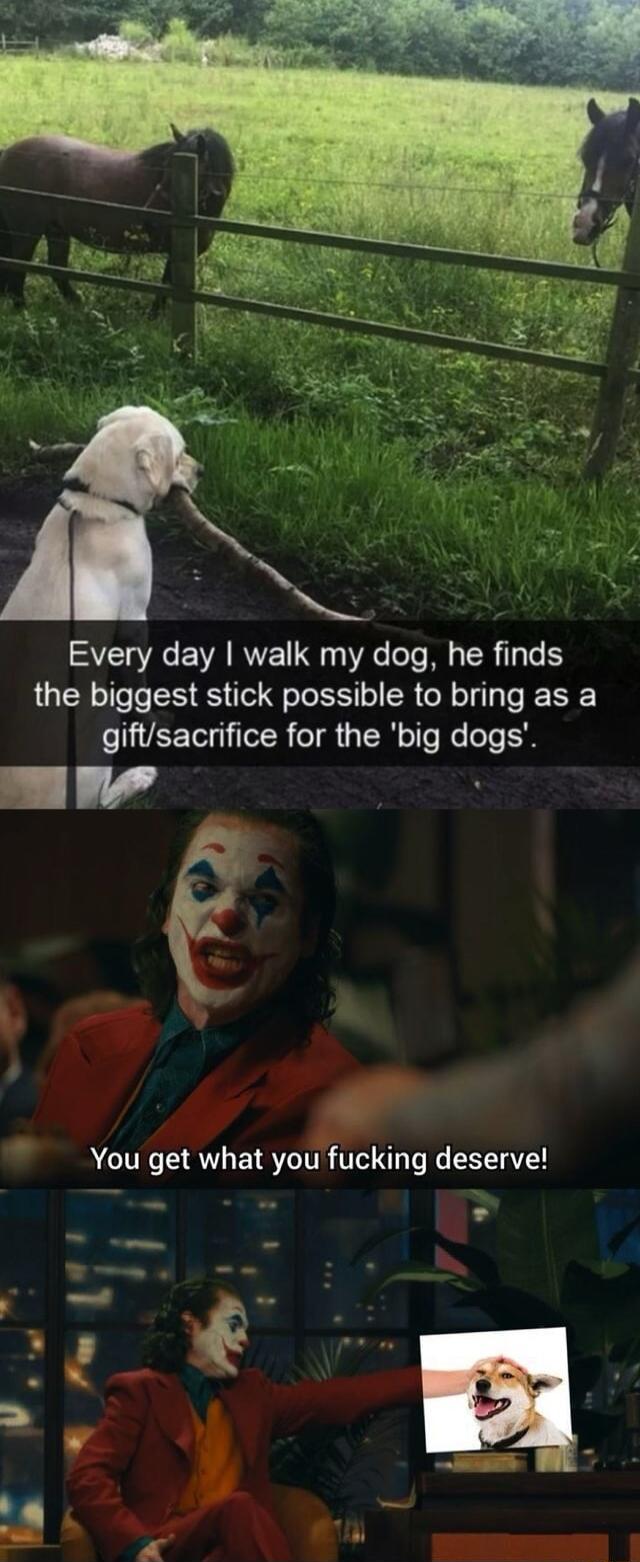 SYELRCEVRARYE 90 A T M R T the biggest stick possible to bring as a giftsacrifice for the big dogs Y 9 You get what you fucking deserve