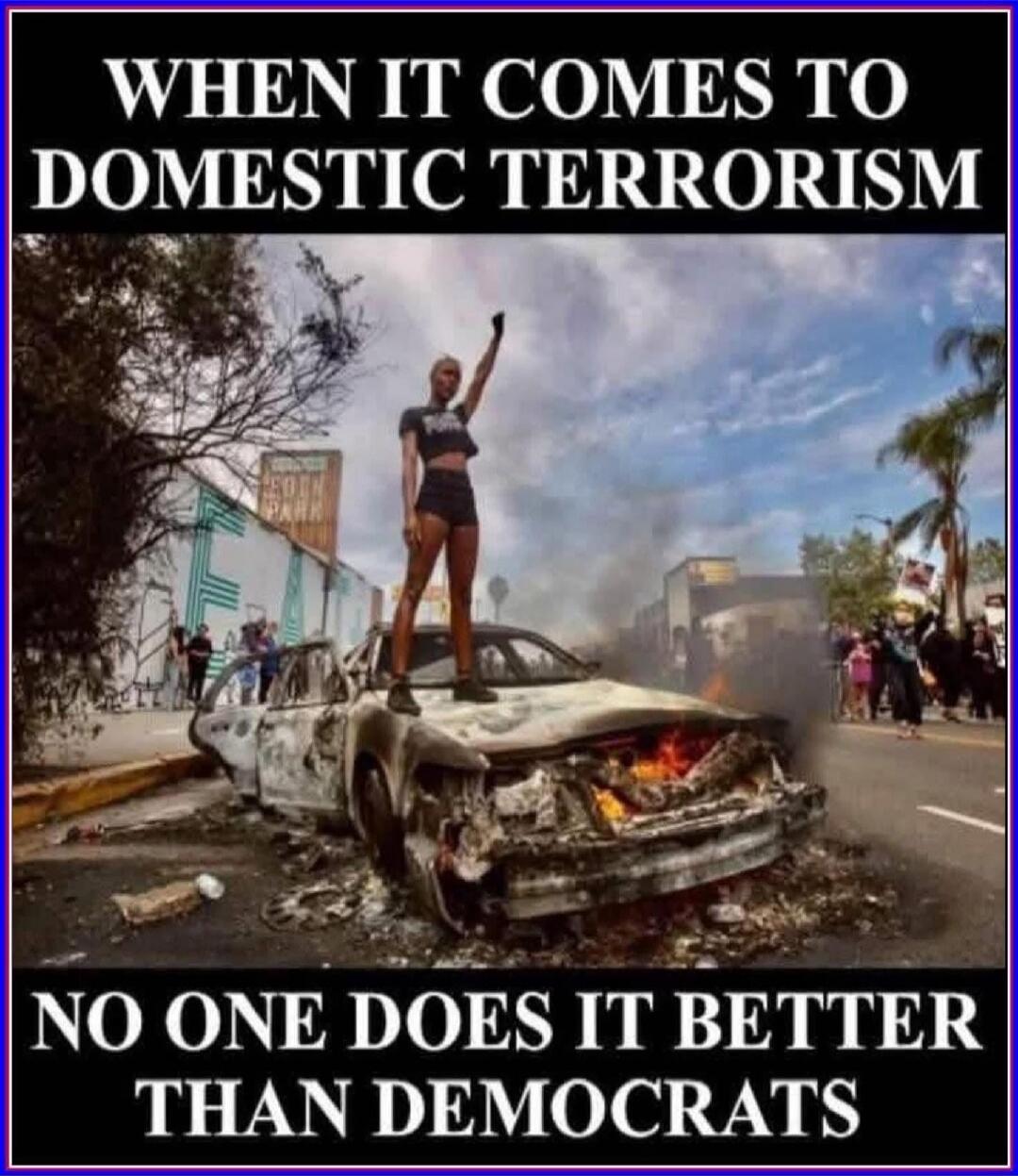 WHEN IT COMES TO DOMESTIC TERRORISM NO ONE DOES IT BETTER THAN DEMOCRATS