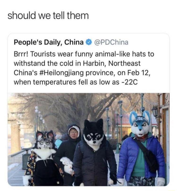should we tell them Peoples Daily China PDChina Brrr Tourists wear funny animal like hats to withstand the cold in Harbin Northeast Chinas Heilongjiang province on Feb 12 when temperatures fell as low as 22C