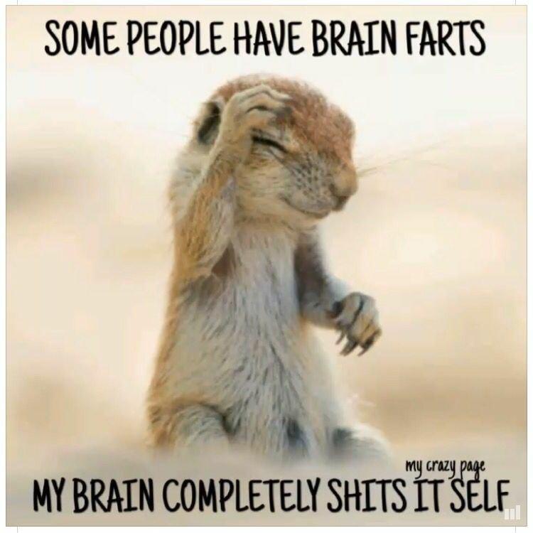 SOME PEOPLE HAVE BRAIN FARTS w 3 P Iy 5 MYBRATN COPLETELSHTTS T 6