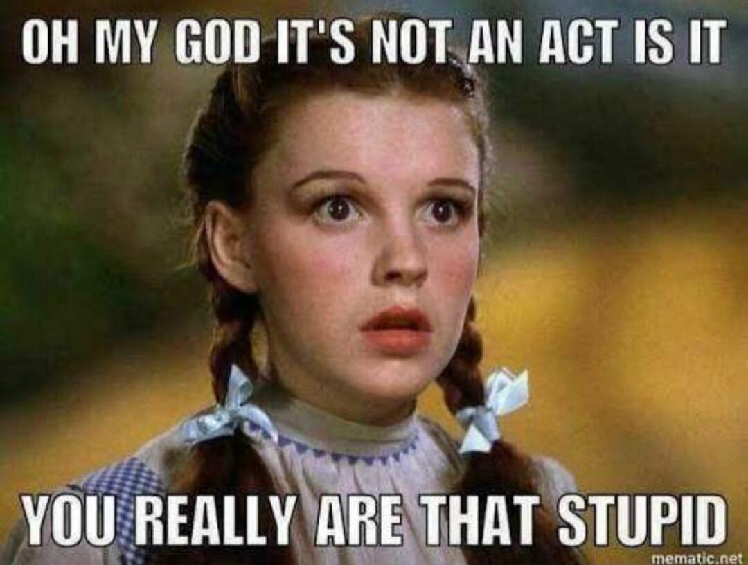 OH MY GOD IT'S NOT AN ACT IS IT YOU REALLY ARE THAT STUPID