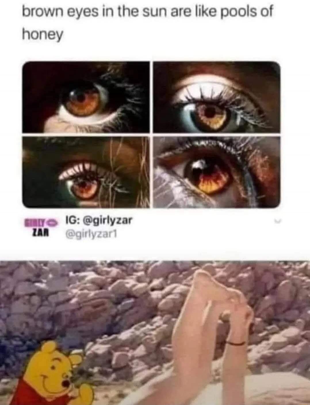 brown eyes in the sun are like pools of honey

IG: @girlyzar