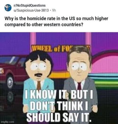 Why is the homicide rate in the US so much higher compared to other western countries?
I KNOW IT, BUT I DON'T THINK I SHOULD SAY IT.