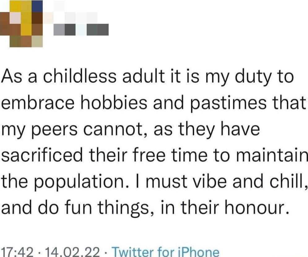 As a childless adult it is my duty to embrace hobbies and pastimes that my peers cannot as they have sacrificed their free time to maintain the population must vibe and chill and do fun things in their honour 1742 14 02 22 Twitter for iPhone