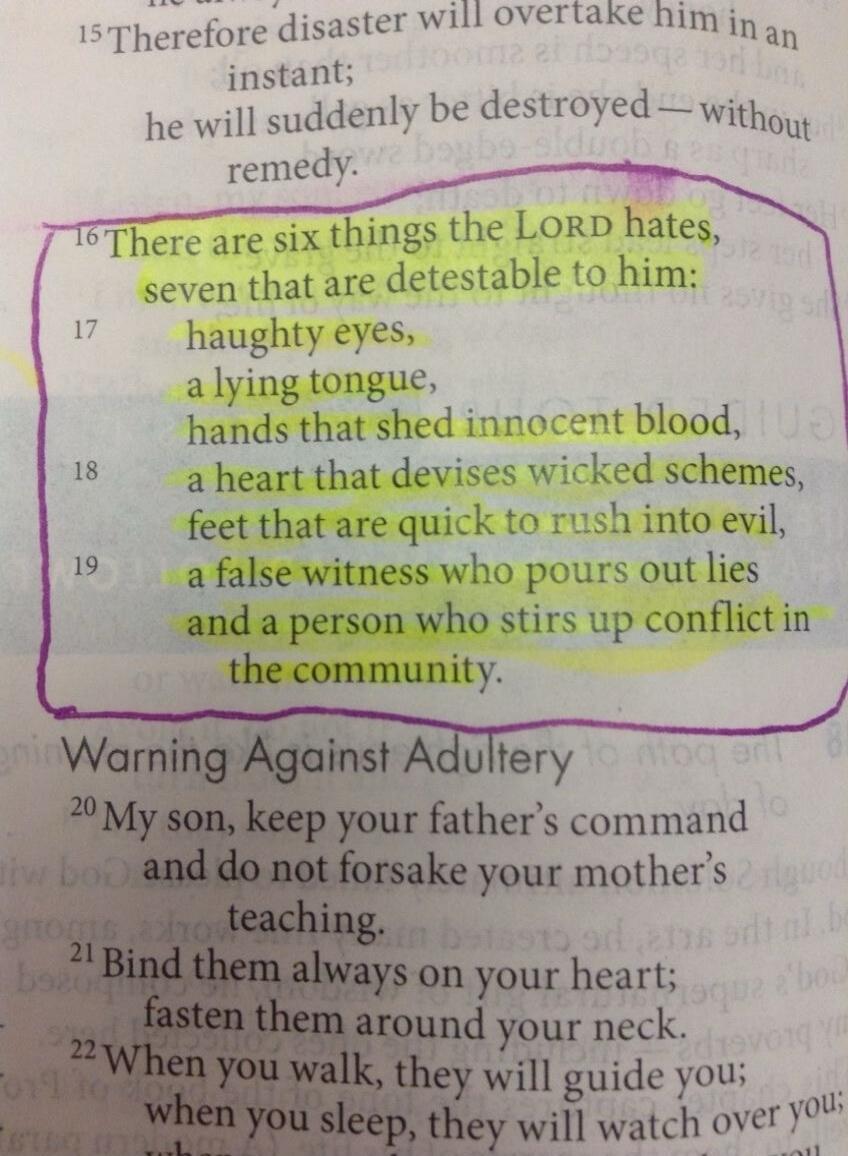 There are six things the LORD hates, seven that are detestable to him: haughty eyes, a lying tongue, hands that shed innocent blood, a heart that devises wicked schemes, feet that are quick to rush into evil, a false witness who pours out lies and a person who stirs up conflict in the community.