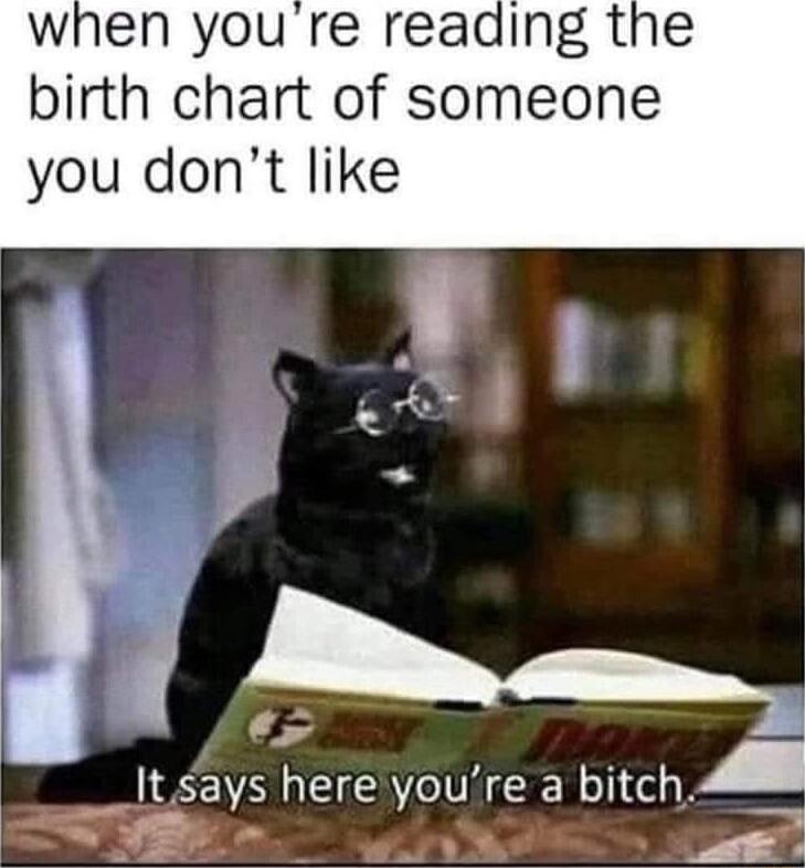 when you re reading the birth chart of someone you dont like M It says here youre a bitch