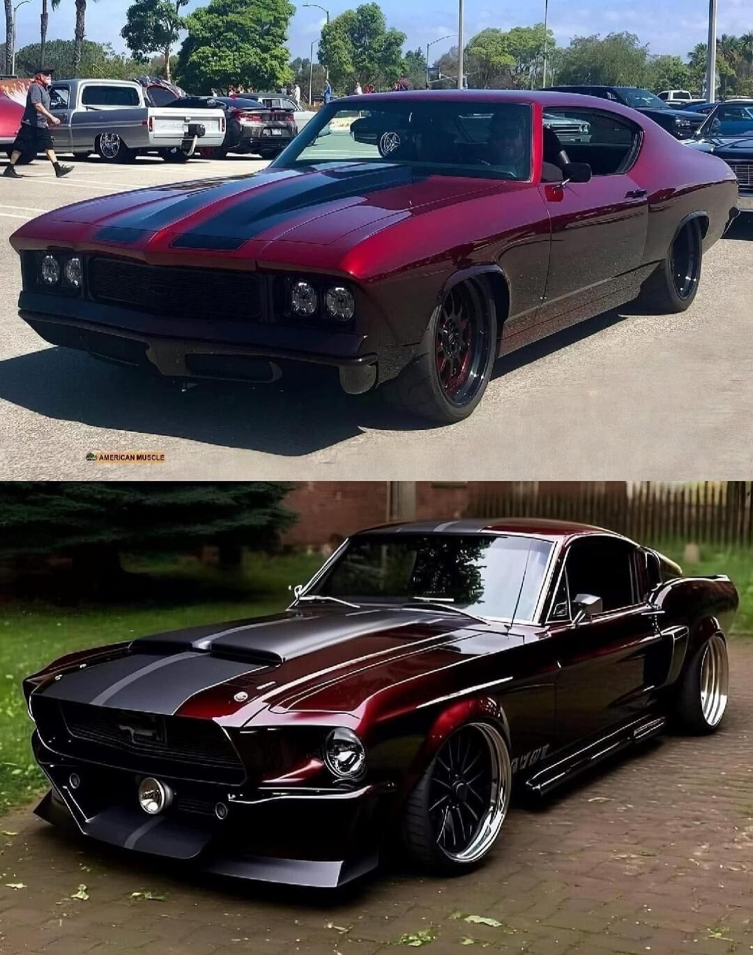 AMERICAN MUSCLE