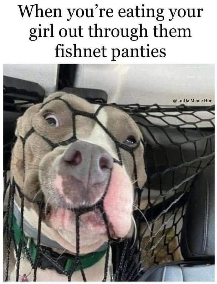 When you're eating your girl out through them fishnet panties
