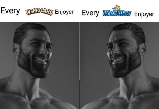 Every sl enjoyer Every Enjoyer