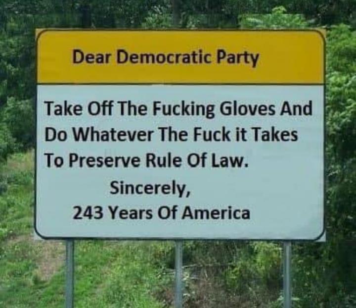 Take Off The Fucking Gloves And Do Whatever The Fuck it Takes To Preserve Rule Of Law Sincerely 243 Years Of America
