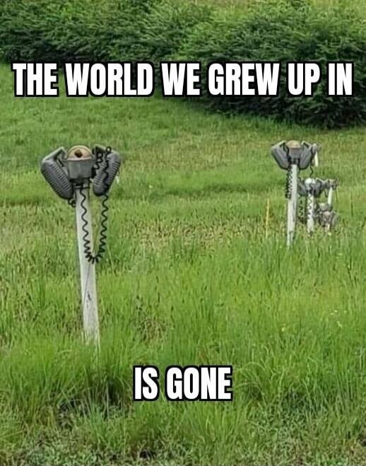 THE WORLD WE GREW UP IN IS GONE