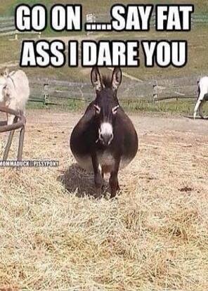 GO ON .....SAY FAT ASS I DARE YOU