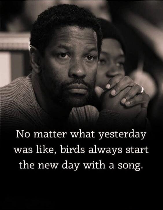 No matter what yesterday was like, birds always start the new day with a song.