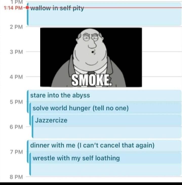 114 P waltow in self pity stare into the abyss solve world hunger tell no one Jazzercize dinner with me I cant cancel that again wrestle with my self loathing