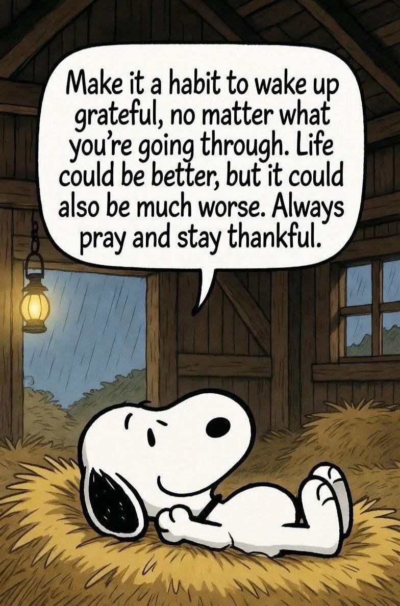 Make it a habit to wake up grateful, no matter what you're going through. Life could be better, but it could also be much worse. Always pray and stay thankful.
