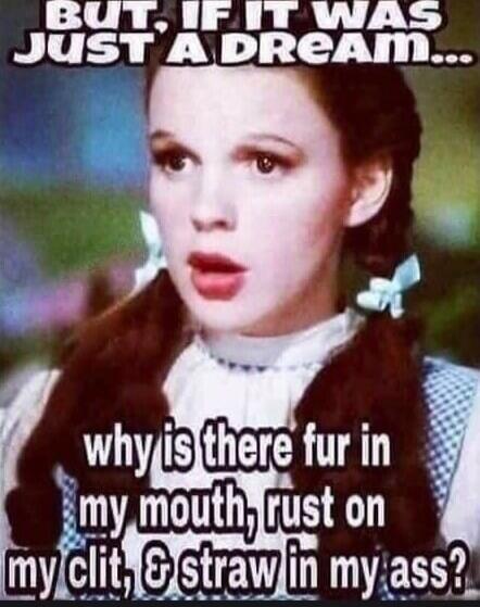 BUT, IF IT WAS JUST A DREAM... why is there fur in my mouth, rust on my clit, & straw in my ass?
