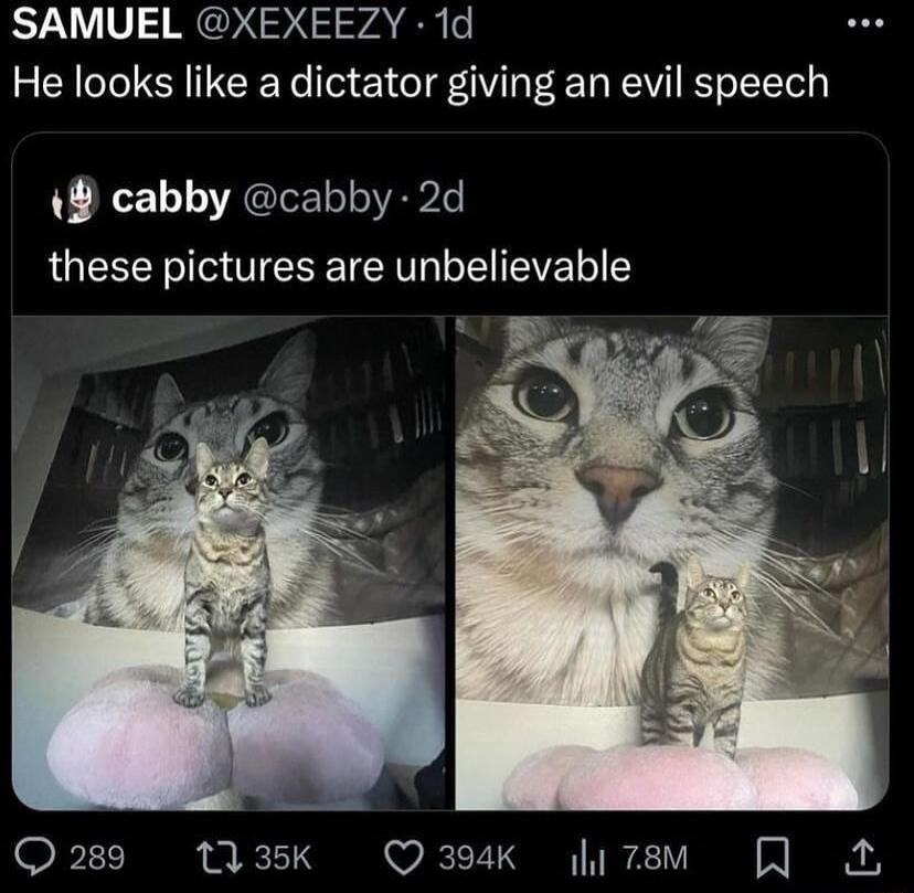 SAMUEL XEXEEZY 1d He looks like a dictator giving an evil speech 14 cabby cabby 2d these pictures are unbelievable Q289 13K Q394K yzem