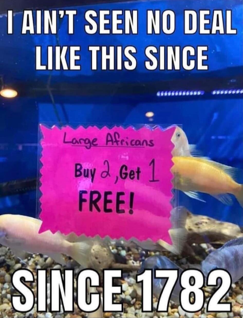 m u 2 LY A A 8 j Nri7m 54 5 ok 1 e o Ly o SR LT